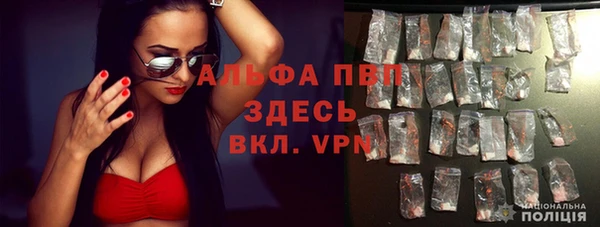 твердый Абаза