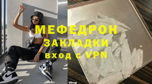 индика Гусев