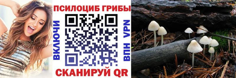 Галлюциногенные грибы Cubensis  Ковров 